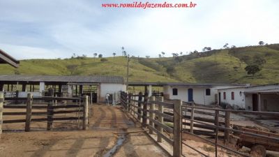 FAZENDA EM CLAUDIO 107 HA. LINDA ACEITA 50 % IMOVEIS