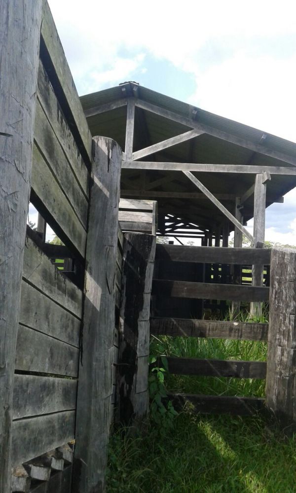 Fazenda na Transacreana - Ramal Jarinal