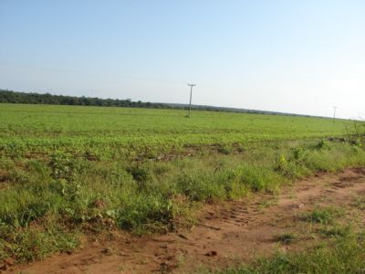 FAZENDA NO TOCANTINS. GRANDE FAZENDA NO TOCANTINS. 150 MIL HECTARES.