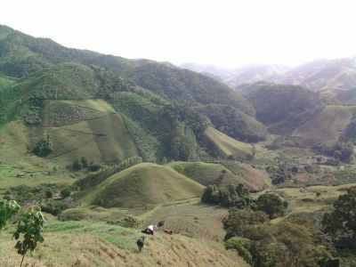 Vendemos Ótimo Terreno com em Vargem Alta com 6 nascentes de água doce.