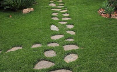 Jardinagem Profissional - DOM JARDIM