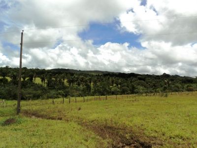 EXCELENTE TERRENO EM  COCALZINHO DE GOIÁS 
