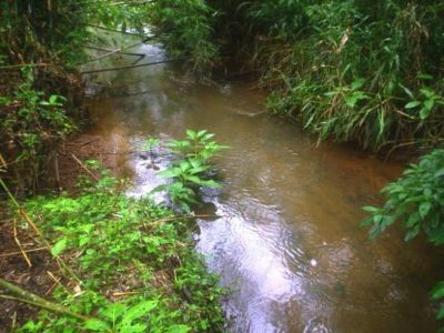 CHÁCARA COM 4.500 M² - JUQUITIBA - SP - F: (11) 4686-1562 - CEL: (11) 7302-9229 