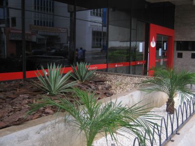 Lopes e Silva Jardinagem e Paisagismo