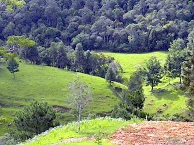 VENDO SITIOS DE 1 HECT POR 35 MIL