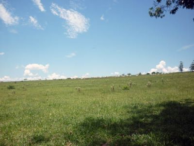 Área a venda em São Pedro para loteamento, SP