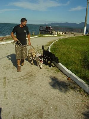 RAEL CENTRO DE ADESTRAMENTO