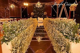 *******************PASSARELA ESPELHADA********************************