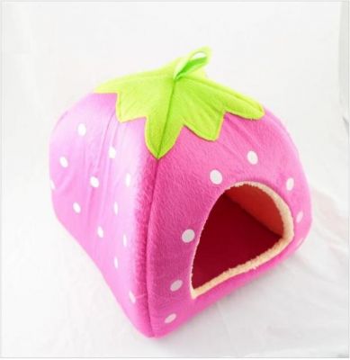 Casinha Iglu Moranguinho 