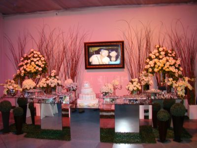 FESTAS DECORAR em SUZANO,POÀ,FERRAZ,MOGI