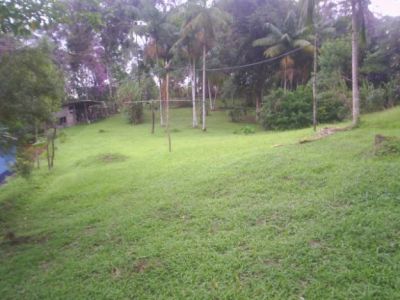 CHÁCARA COM 20.000 M² - JUQUITIBA - SP - F: (11) 4686-1562 - CEL: (11) 7302-9229 