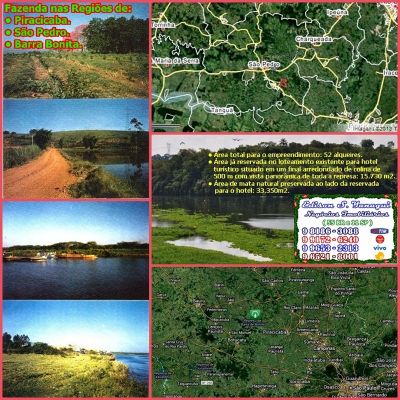 Fazenda de 52 Alqueires Paulista, em Tanquã - São Pedro-SP