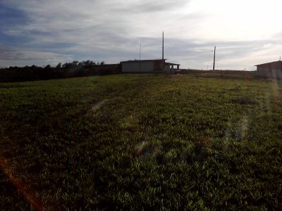 150 HECTARES MAIS BARATOS E DE ALTA QUALIDADE NA REGIÃO