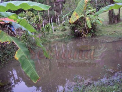 Chácara a venda com nascente, lago, piscina em alvenaria apenas 150mil