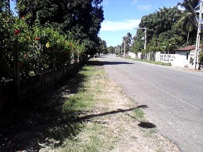 TERRENOS AVENDA EM CORURIPE