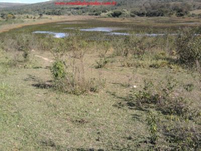  fazenda em curvelo com área de 1.286,49 ha