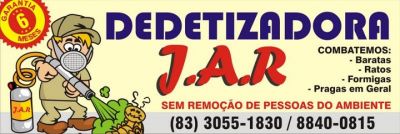 Desinsetização é dedetização 