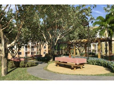 Lançamento Vida Bella