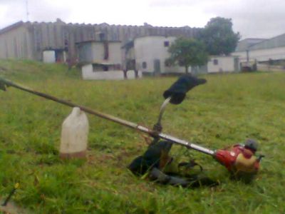 PAISAGISMO E JARDINAGEM (11)2303-5217/6557-9589/8621-3420