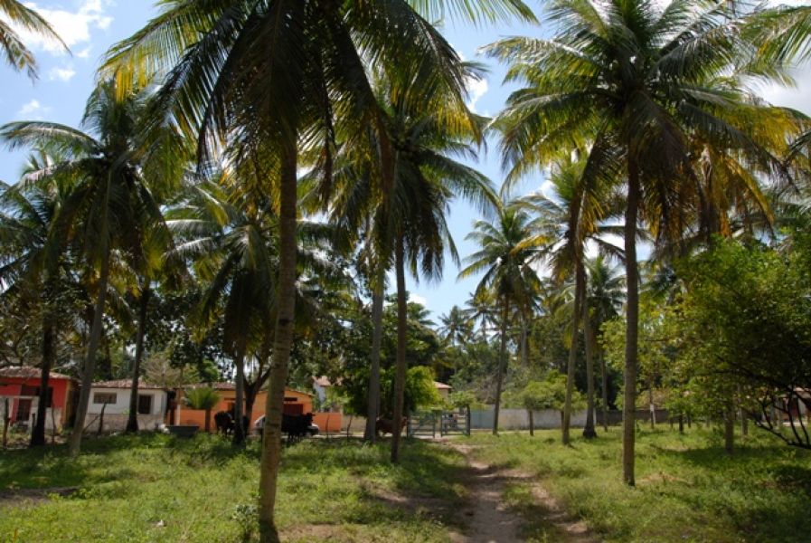 Venda terreno para construção perto de NATAL Rio Grande Norte