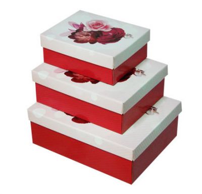 Caixas Organizadoras e Decorativas Archive House