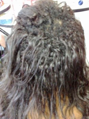 Escova Restauradora Bio Styllus