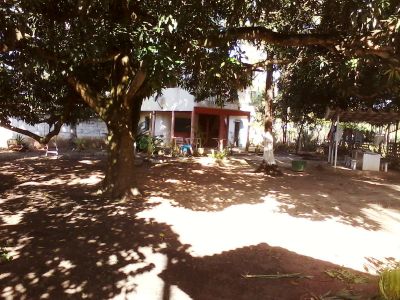 TERRENO BARATO A VENDA EM CORURIPE