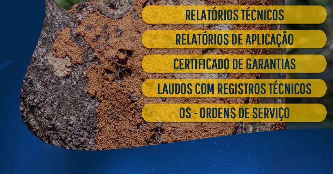 Descupinizadora 24 horas especializada no extermínio de cupins de madeira seca e cupins de solo
