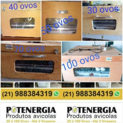 Chocadeira 100 ovos totalmente automática digital rj