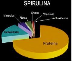 Spirulina em po  100gr  frete gratis 