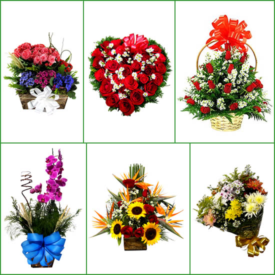 Flores entrega Contagem flores online Contagem floricultura em Contagem MG