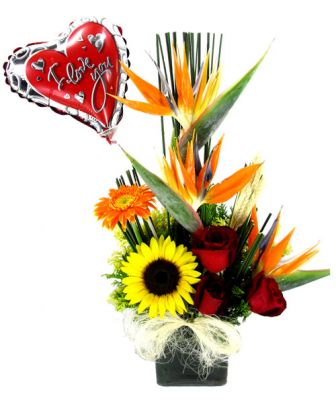 Valentines day Belo Horizonte, Contagem, Nova Lima, Santa Luzia, Sabará  flores, cestas orquídeas  