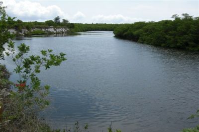 491 HECTARES NA COSTA DO DESCOBRIMENTO. A OPORTUNIDADE CHEGOU!