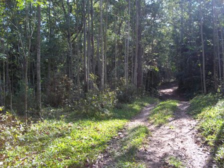 Turvo Morro Chato terreno a venda 
