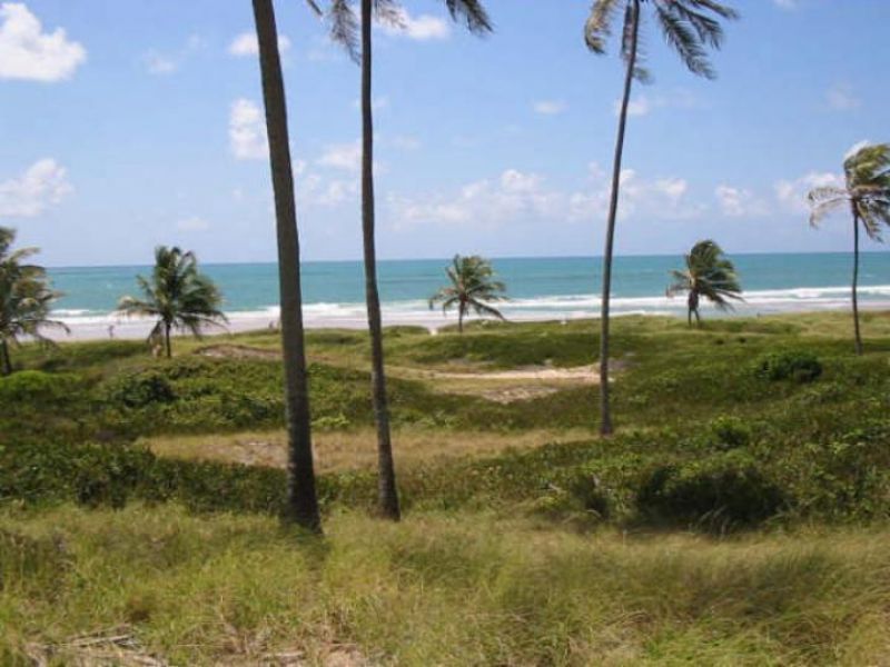 Apartamentos - Praia do Frances - LIt Sul Maceio - Alagoas (BR)