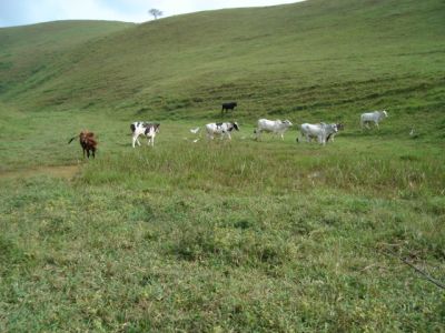 linda fazenda em guarapari OPORTUNIDADE
