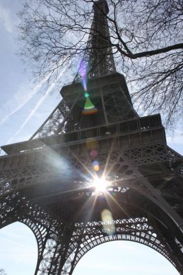 Aulas de francês com professora francesa