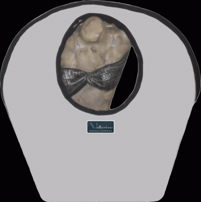 Bolsas & Acessórios