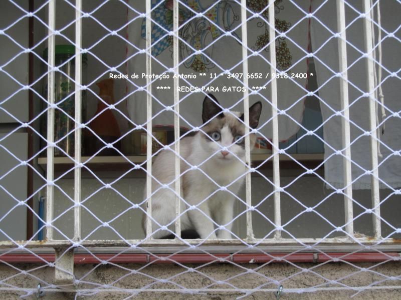 Redes de Proteção em Campos Elisios, Alameda Barão de Limeira ,(11)  5524-7412