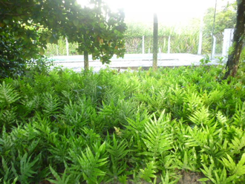 Plot eldorado, 5 lotes em Goiana/PE/Brasil.