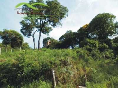 lote em novo horizonte