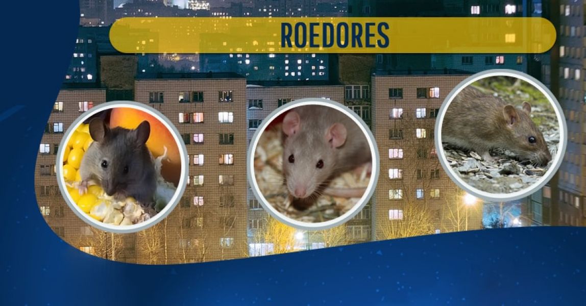 Execução do controle de pragas em condomínios residenciais e comerciais 