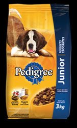 YORK MINI EM BH?É AQUI NO CANIL  BHZ! 3197137484/25315075