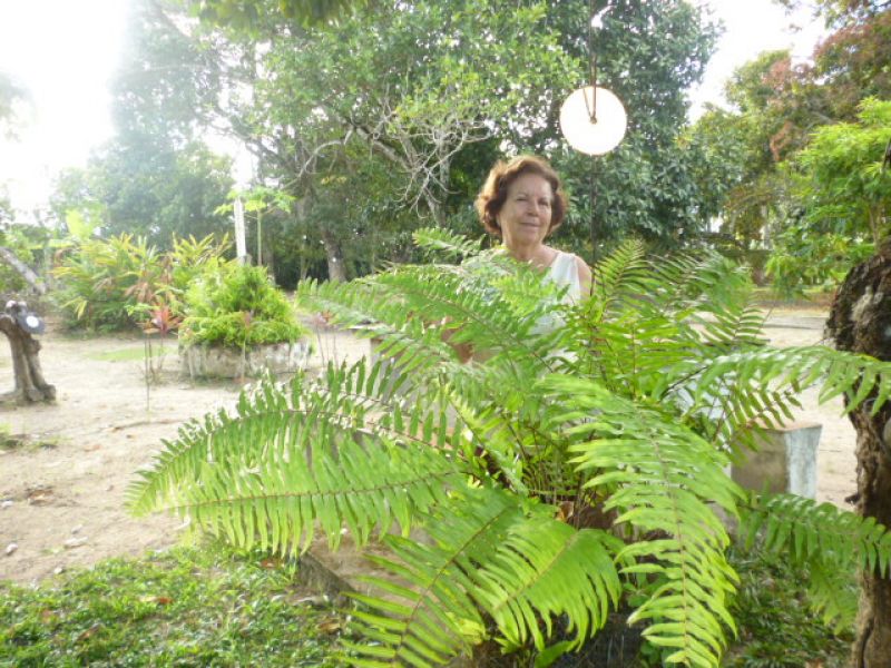 Vendo Granja Coração de Jesus em Goiana/PE