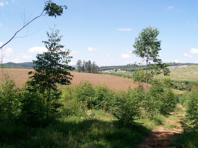 Sítio em Atibaia moradia ou lazer 30.000m² R$ 650 mil set.11