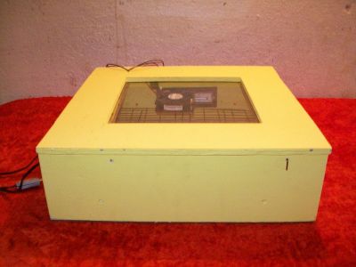 CHACADEIRAS AUTOMATICAS PARA 40 OVOS 130 REAIS