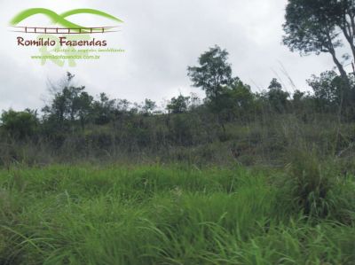 AREA INDUSTRIAL COM 820.000 M² COM 740 DE FRENTE BR 040