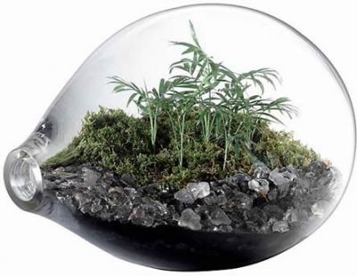 Aprenda a fazer arranjos florais e terraniums passo a passo