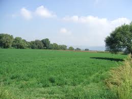 CONSÓRCIO IMÓVEL RURAL SEM JUROS.