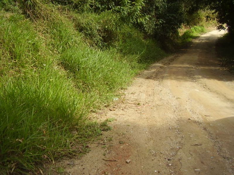 Chácara Santana de Parnaíba SP 10.000m²